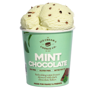 Mint Chocolate Frozen Dessert