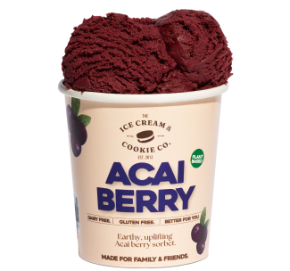 Acai Berry Frozen Dessert