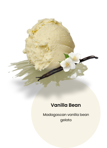 Vanilla Bean Frozen Dessert