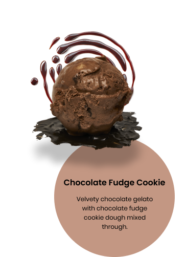 Chocolate Fudge Cookie Frozen Dessert