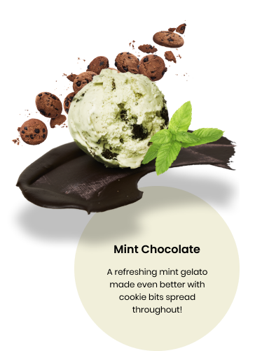 Mint Chocolate Frozen Dessert