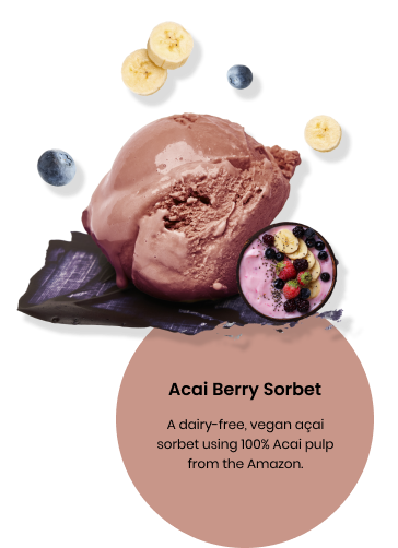 Acai Berry Frozen Dessert