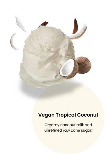 Tropical Coconut Frozen Dessert